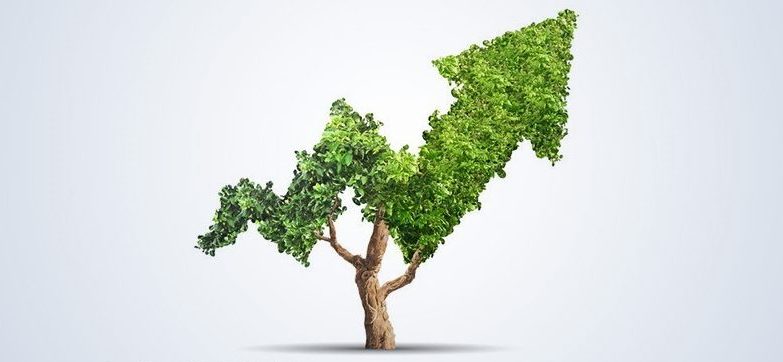 Impact Investing as an Emerging Asset Class