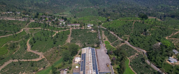 Tea Manufacturer_Distributed Energy_DE
